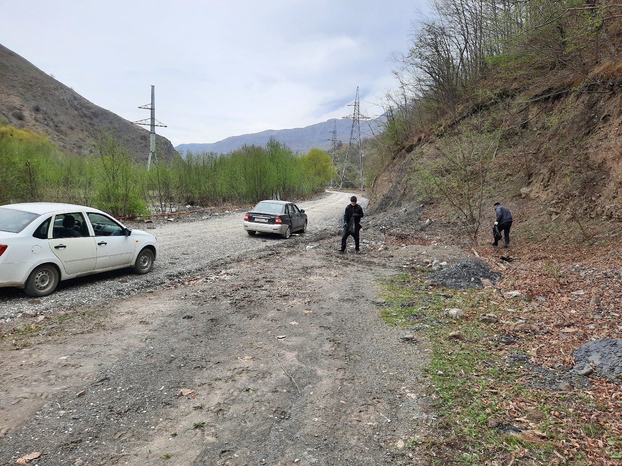 В лесном массиве прошел субботник.